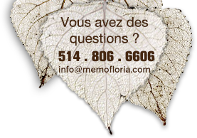 Des questions ? Appelez au 514 . 713 . 5505 ou info@memofloria.com